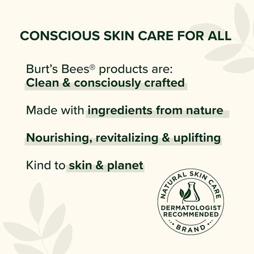 Burt's Bees Lip Balm - 100% Natural Moisturizer with Pomegranate Flavor - 1 Tube