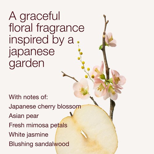 Bath & Body Works Japanese Cherry Blossom Body Lotion, Lightweight Daily Moisturizer with Shea Butter & Coconut Oil, Iconic Floral Scent, 8 fl oz - 2 Pack