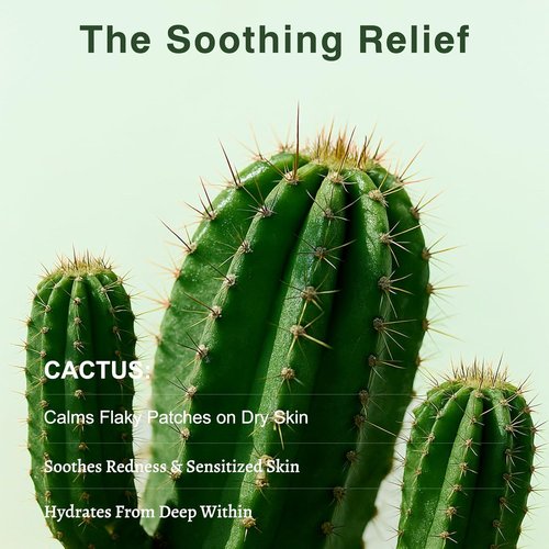 SPRINGSKY Hydrating Face Mask - Natural Cactus & Centella Asiatica for 24HR Deep Hydration | 4 Count