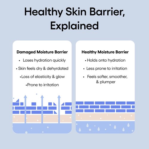 LANEIGE Water Bank Blue Hyaluronic Cream Moisturizer Mini: Hydrating Korean Face Cream with Squalane & Ceramide for Skin Barrier Support, Dermatologist-Tested