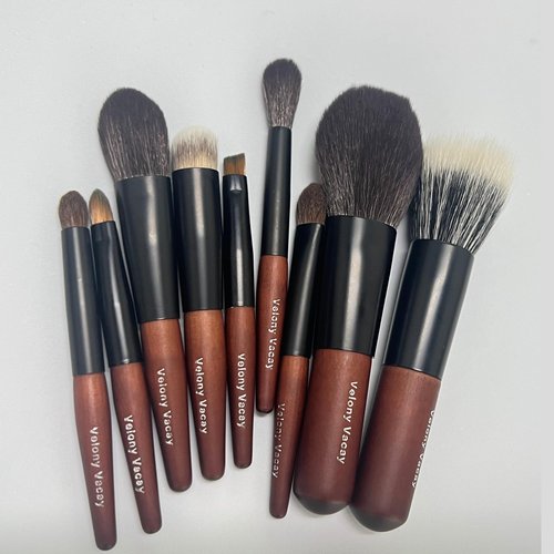 Mini Makeup Brush Set, 9 Full Face Mini Travel Make Up Brushes Set, Synthetic & Natural Hair Makeup Brushes For Blush, Eyeshadow, Conceal, Eyebrow Brush, with a compact Brush Case