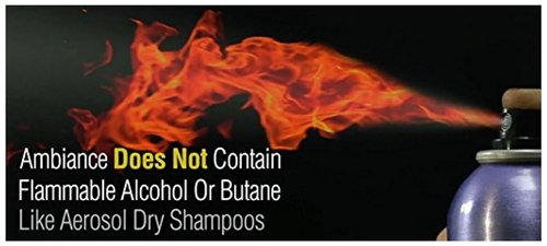 Ambiance Natural Dry Shampoo Powder for Blonde Hair - Travel Size, Non-Toxic & Volumizing | Refreshes Oily Roots