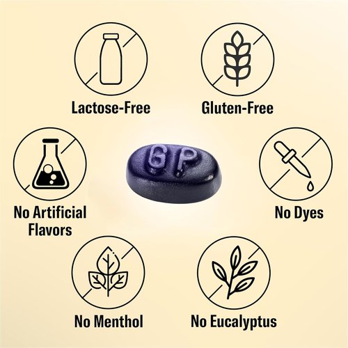 Grether's Classic Blackcurrant Pastilles - Premium Swiss Throat Lozenges for Dry Mouth Relief - 2.1 oz