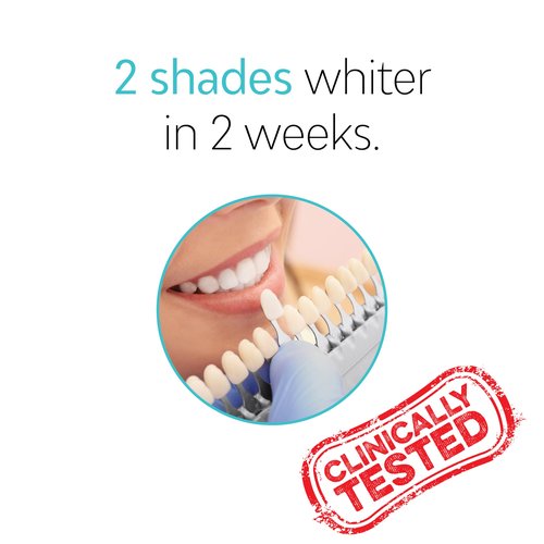 TAO Clean Daily Care Whitening Replacements Heads - White - 2 Pack