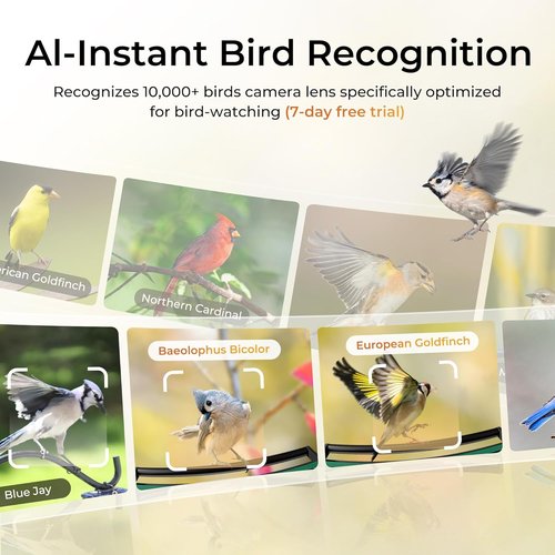 TT Nature Smart Bird Feeder - Solar-Powered Camera with AI Bird Identification | 3.2L Capacity, Green