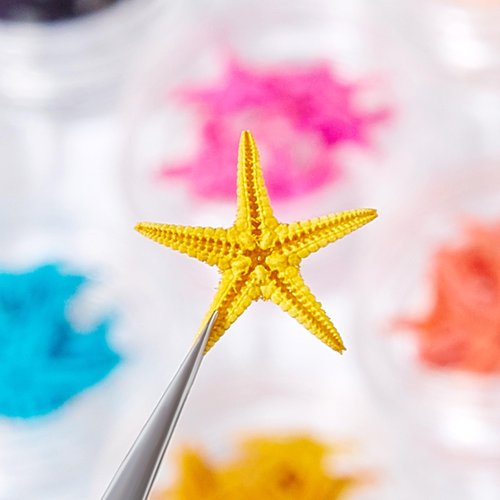 2 Boxes Summer Nail Art Rhinestones, 3D Ocean Theme Nail Charms Starfish Conch Seashell Designs Nail Art Rivets Manicure DIY Sea Series Nail Decorations for Women Girls (B)