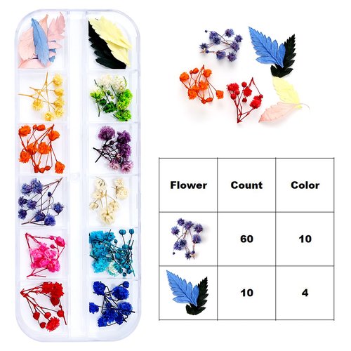 iFancer Dried Flowers for Resin Craft Nail Art Mix Small Mini Dry Flowers (Pack of 6 Boxes, About 260 PCS)