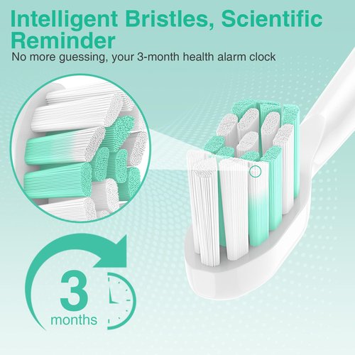 Aoremon Replacement Heads for Philips Sonicare C2 W Electric Toothbrush Heads fit for Phillips Sonicare Diamondclean Protectiveclean 4100 5100 6100 Brush Head for W2 W3, 8 Count White