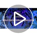 Giant Outdoor Spider Halloween Decoration - 4.2FT Lighted Yard Decor with 90 LED Lights