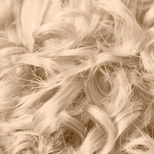 Ion 10G Golden Blonde Permanent Liquid Hair Color - Lightest Shade for Vibrant Results