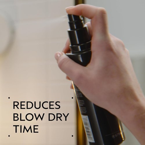 Aveda Speed of Light Blow Dry Accelerator Spray - Cuts Dry Time & Protects Hair | 6.7 Fl Oz