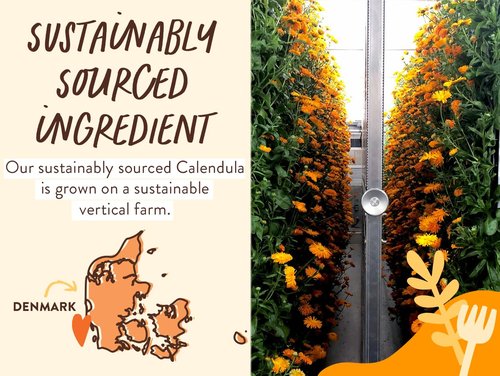 Babo Botanicals 2-in-1 Shampoo & Wash - Moisturizing Oat & Calendula for Gentle Cleansing - Safe for All Ages