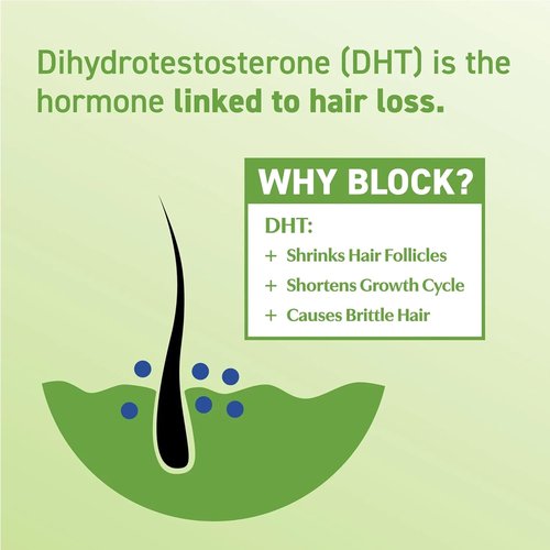DHT·7 DHT Blocking Supplements - Promote Thicker, Fuller Hair with Saw Palmetto & Reishi - 60 Capsules