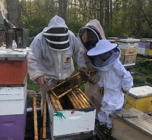 Planet Bee Apiary LAVENDER BEE SALVE 1oz – Beeswax & Propolis Skin Moisturizer – All Natural, Small Batch