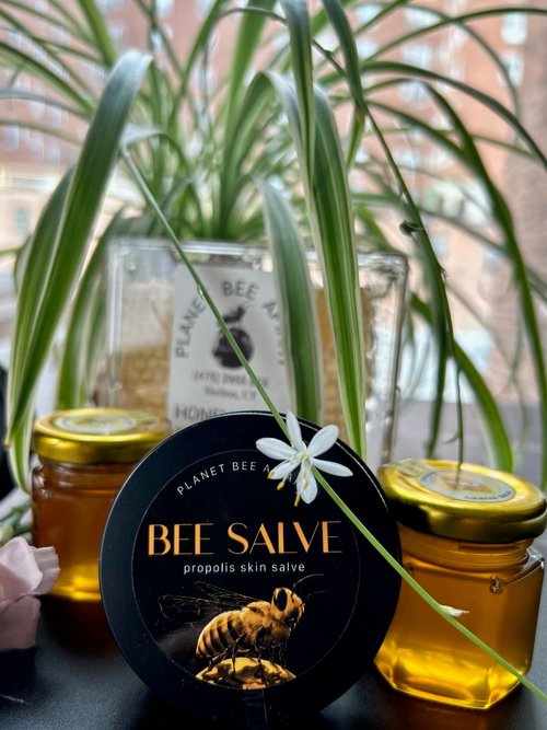 Planet Bee Apiary LAVENDER BEE SALVE 1oz – Beeswax & Propolis Skin Moisturizer – All Natural, Small Batch