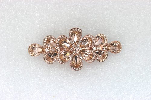 Faship Gorgeous Champagne Rhinestone Crystal Floral Hair Barrette Clip