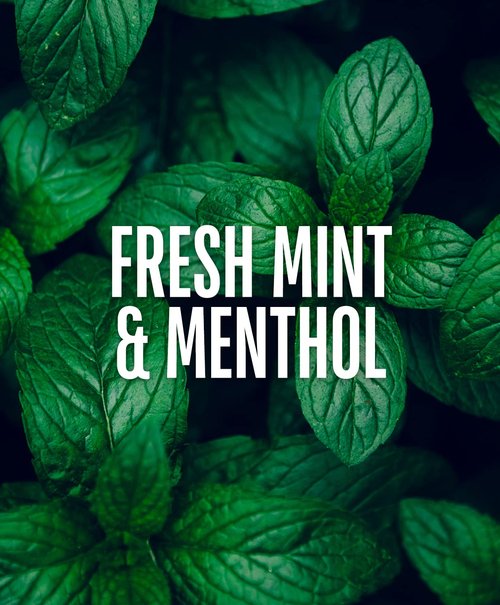 GO247 Mint Thickening Shampoo - Energizing Daily Cleanser with Peppermint & Menthol - 8 Fl Oz for Fuller, Thicker Hair