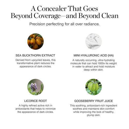 Ogee Complexion Perfecting Under Eye Concealer - Certified Organic Full Coverage Concealer - Buildable Coverage - CEDAR 1.20C - Light (Pink-Beige Undertones)