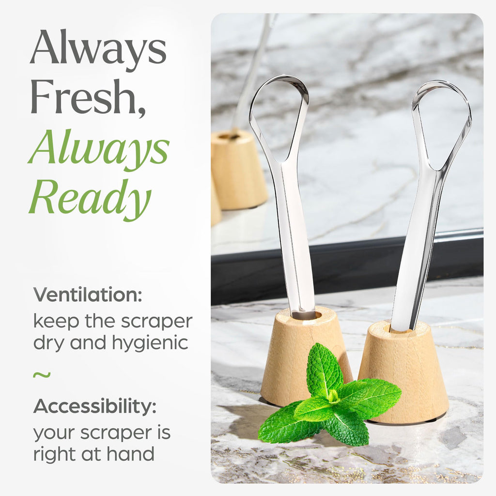 VIVAGO Tongue Scraper for Adults with Holder (2 Pack) - Metal Tongue Scraper for Tongue Cleaning and Reducing Bad Breath - Stainless Steel Tongue Scraper for Adults, Tongue Cleaner for Adults