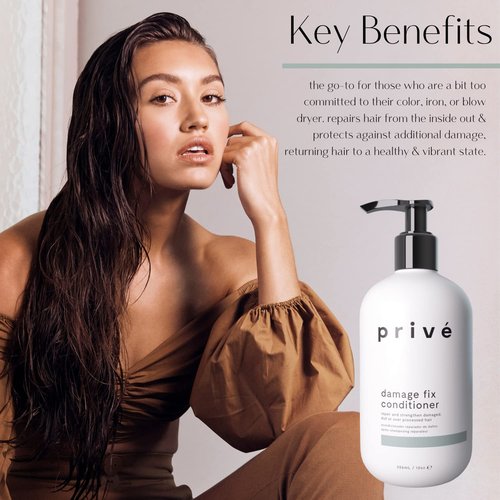Prive Damage Fix Conditioner - Repairs Dry and Over-Processed Hair from Within Protects Future Additional (12 Oz)
