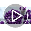 Purple Artificial Marigold Flowers Set of 100 for Day of the Dead & Festivals - Faux Silk Decor