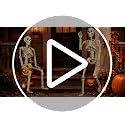 2 Pack 36-Inch Life Size Human Skeletons for Halloween Decorations - Movable Joints, Yard & Party Decor