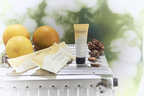 2 in 1 Shampoo and Conditioner Double Sealed 1 Fl. oz Individually Wrapped Travel Size Shampoo & Conditioner 2in1 Set Hotel Toiletries Bulk and Supplies for Guest