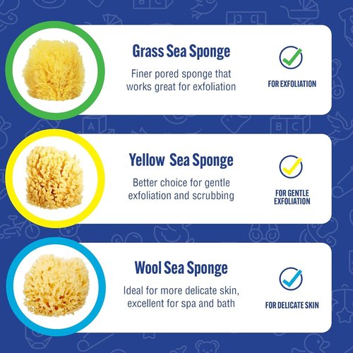 Baby Buddy Baby Bath 4in Assorted Sea Sponges, Absorbent Natural Sea Sponge, Soft on Tender Skin, Biodegradable, Hypoallergenic, Bath Accessories for Bathing, 3 Pack