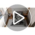 Queen Gothic Comforter Set with Sheets - White & Black Skeleton Halloween Bedding