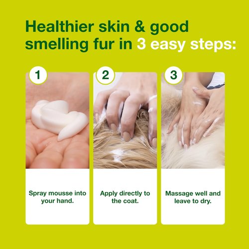 Douxo S3 Seb Mousse, Contains 0.5% Ophytrium, Odor Control & Seboregulating, For Oily to Flaky Skin, Seborrhea, For Dogs and Cats, 5.1 fl. oz. (150mL)