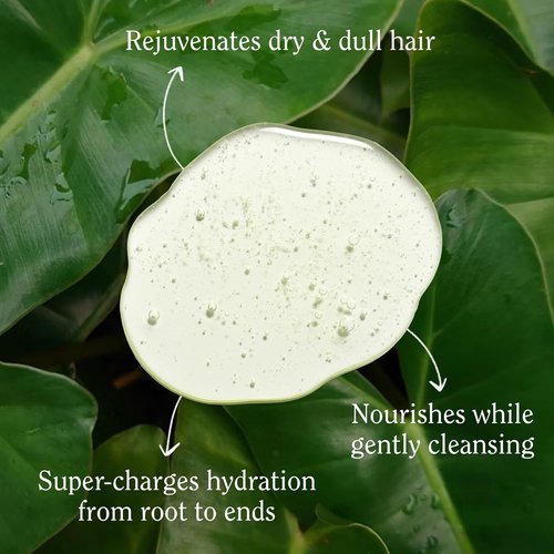 California Naturals Super Moisture Shampoo - Hydrating Formula for Dry, Damaged Hair | 20 fl oz, Vegan & Cruelty-Free
