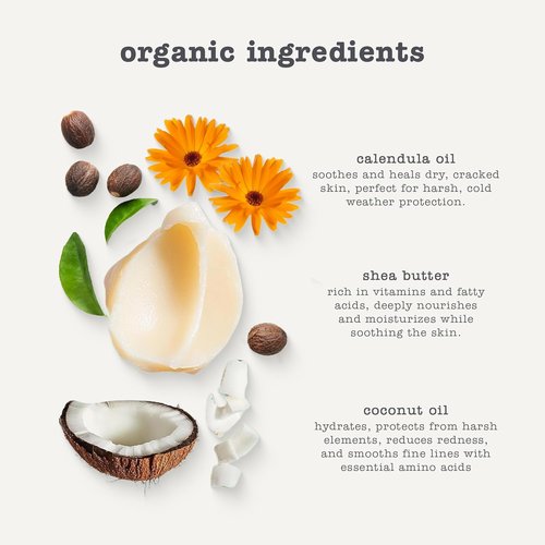 Erbaviva Organic Lip & Cheek Balm - Moisturizing Stick for Baby & Adults | USDA Organic, Shea Butter & Calendula
