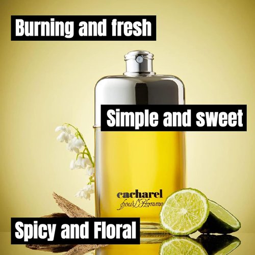 Cacharel Pour L'Homme Cologne - Woody & Spicy Fragrance with Bergamot & Cedar Wood - 3.4 Fl Oz