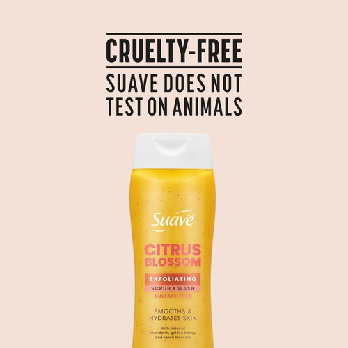 Suave Citrus Blossom Exfoliating Body Wash & Scrub with Glycerin & Vitamin E, Sulfate-Free Hydrating Cleanser for Soft, Smooth Skin, 6 Count, 18 FL OZ EA