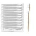 Terra & Co. Gentle Green Toothbrushes – 10-Pack of Plastic-Free Toothbrushes with Soft Bristles for Sensitive Teeth & Gums – Individually Sealed – BPA-Free, Plant-Based, Eco-Friendly & Travel-Ready