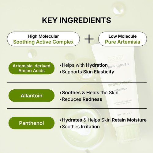 BRING GREEN Artemisia Calming EX Water Cream 100mL