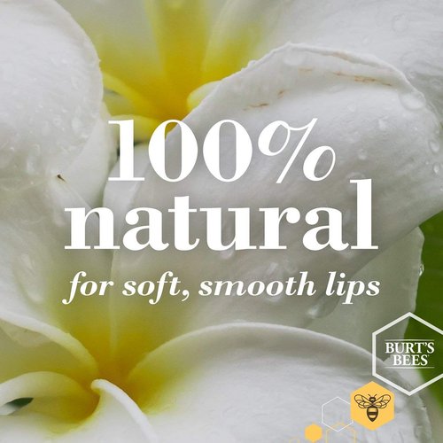 Burt's Bees Lip Balm - Ultra Conditioning Moisturizing Lip Care for All-Day Hydration | 100% Natural