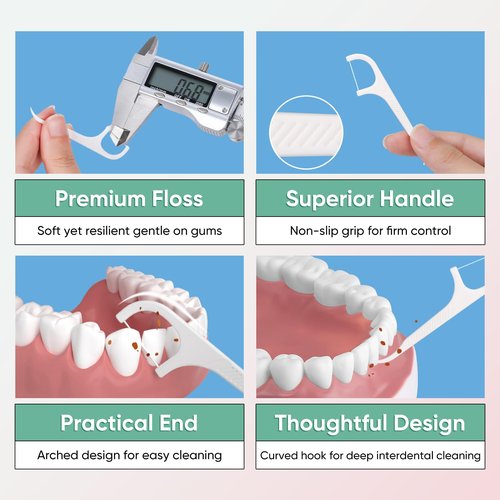 300 Dental Floss Picks, 30 Packs Dental Flossers with Floss Pick Case, Stocking Stuffers Adults, Bulk Stocking Stuffers for Adults, Party Favors Adult