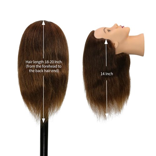 Mannequin Head Human Hair 14 Inch 100% Real Human Hair Hairdresser Practice Training Head Cosmetology Mannequin Head Can be Bleached And Dyed With Small Stand And Alligator Clip（14 Inch Dark Brown）