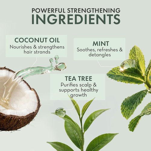 Skiennix Leave-In Conditioner Spray - Tea Tree Scalp Treatment for Dandruff Relief | Hydrating Formula for Dry, Itchy Scalp