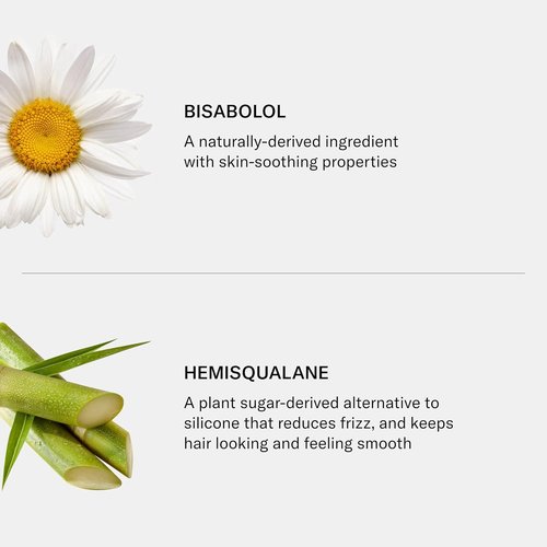 SEEN Shampoo - Fragrance-Free, Non-Comedogenic Formula for Sensitive, Eczema & Acne-Prone Skin
