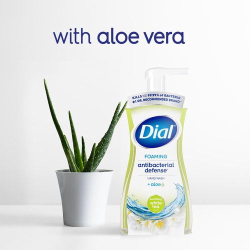 Dial Antibacterial Defense Foaming Hand Soap + Aloe, Soothing White Tea, 30 Fl Oz Hand Soap Refill (Pack of 4), Dermatologist-Tested, Gentle on Skin