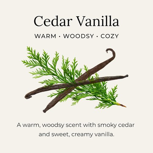 Little Seed Farm All-Natural Deodorant Cream - Cedar Vanilla, Aluminum-Free - 2.4oz | 68g