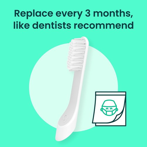 quip Sonic Toothbrush Replacement Heads for Adults - 6 Pack - Verified quip Standard Brush Head Refills for Electric Toothbrushes - Soft Bristles, Compact & Flexible - Last 3 Months Each