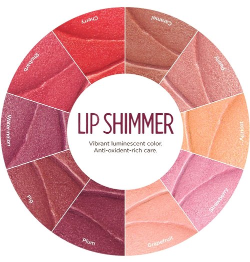 Burt's Bees Lip Shimmer - 100% Natural Moisturizer in Guava Flavor | 1 Tube