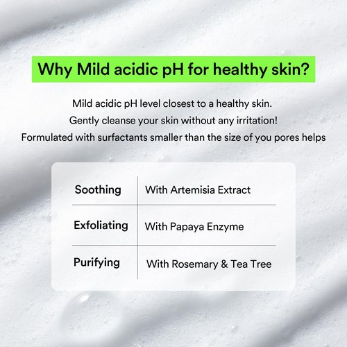 Abib Mild Foam Cleanser Heartleaf Foam 5.07 fl.oz