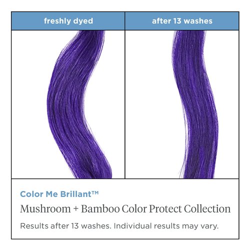 Briogeo Color Me Brilliant Conditioner - Protects Vibrant Hair Color & Hydrates | Vegan, 8 fl oz