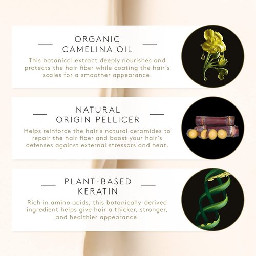 Rene Furterer ABSOLUE KERATINE Ultimate Regenerating Mask - Repair & Restore Damaged Fine to Medium Hair