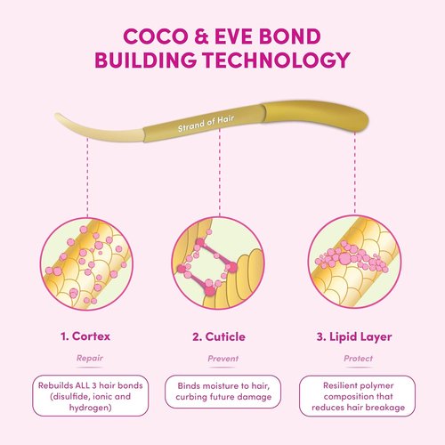Coco & Eve Conditioner - Deep Conditioning Pre-Shampoo Treatment for Damaged Hair | 4.23 fl oz
