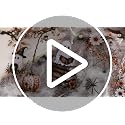 Brown White Halloween Ghost Garland Waterproof Decor for Indoor & Outdoor Use - 6m